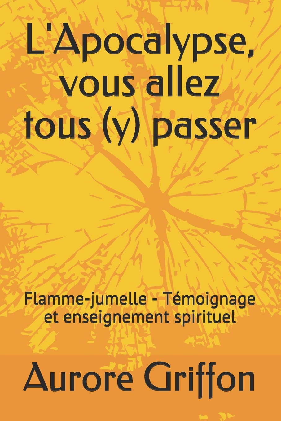 L'Apocalypse, vous allez tous (y) passer.: Flamme-jumelle - Témoignage et enseignement spirituel. book