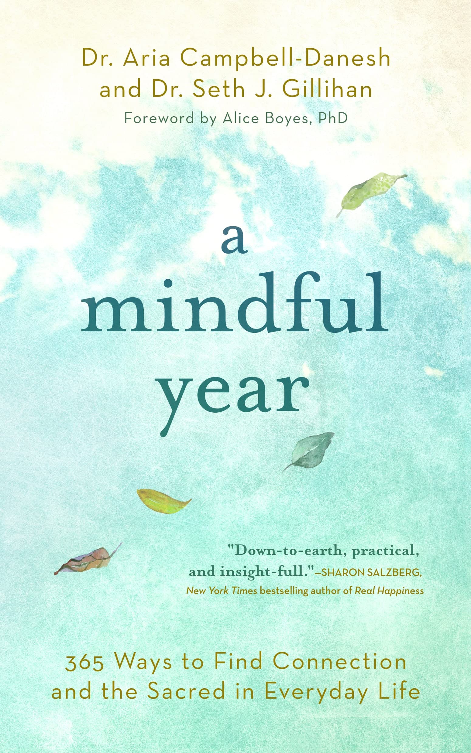 A Mindful Year: 365 Ways to Find Connection and the Sacred in Everyday Life Business, Finance & Career