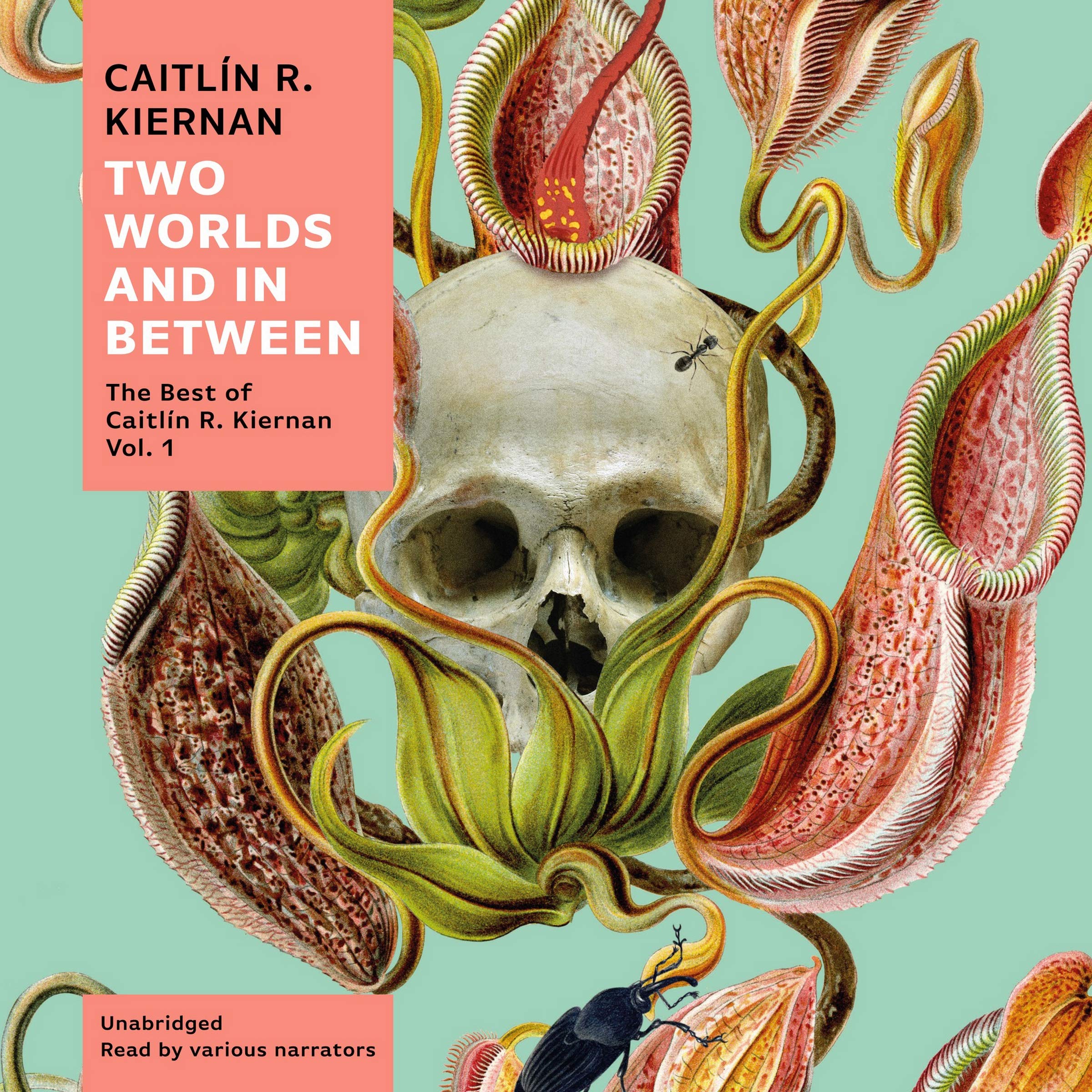 Two Worlds and in Between: The Best of Caitlín R. Kiernan Dark Fantasy