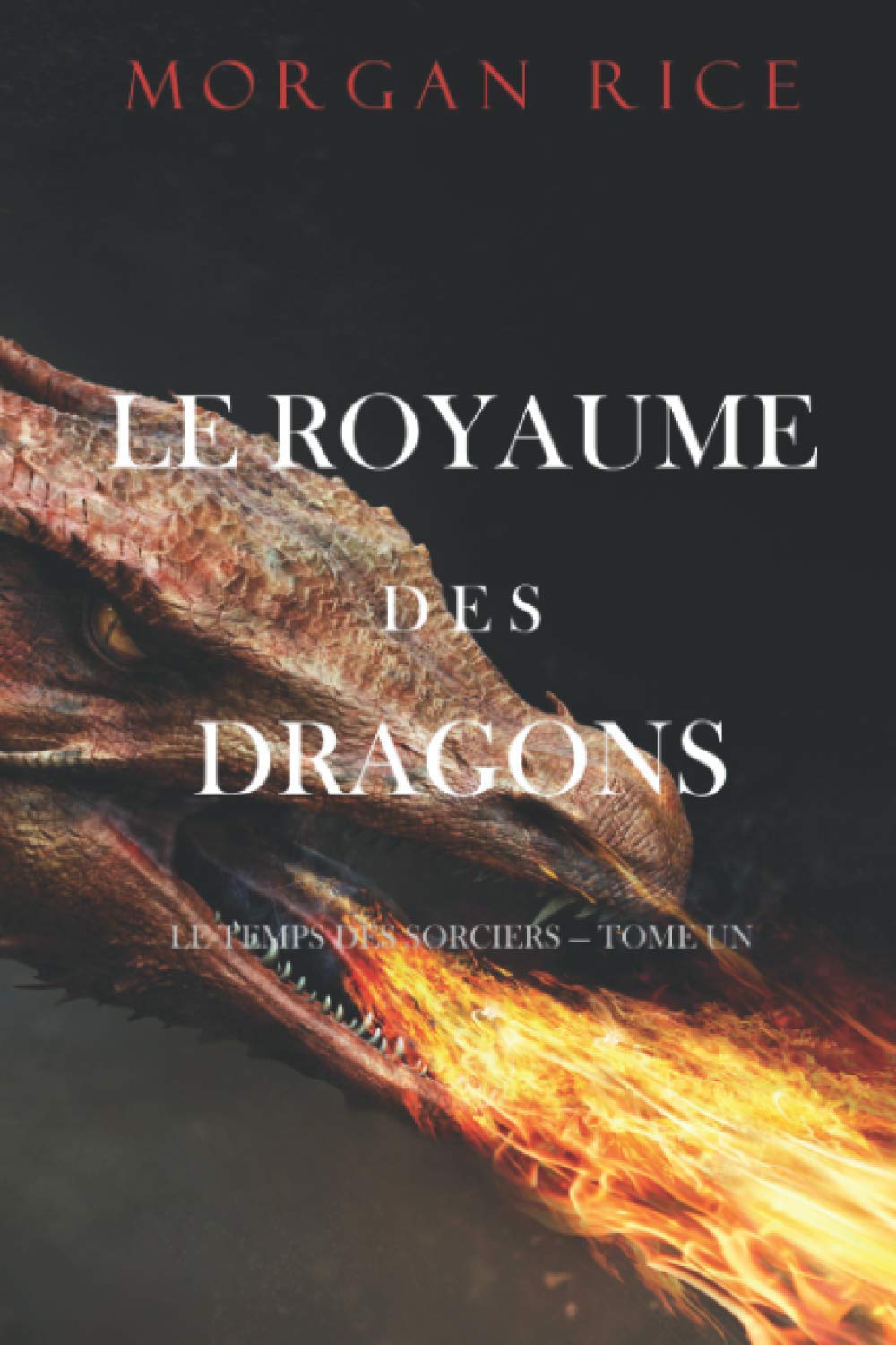 Le Royaume des Dragons (Le Temps des Sorciers — Tome Un) book