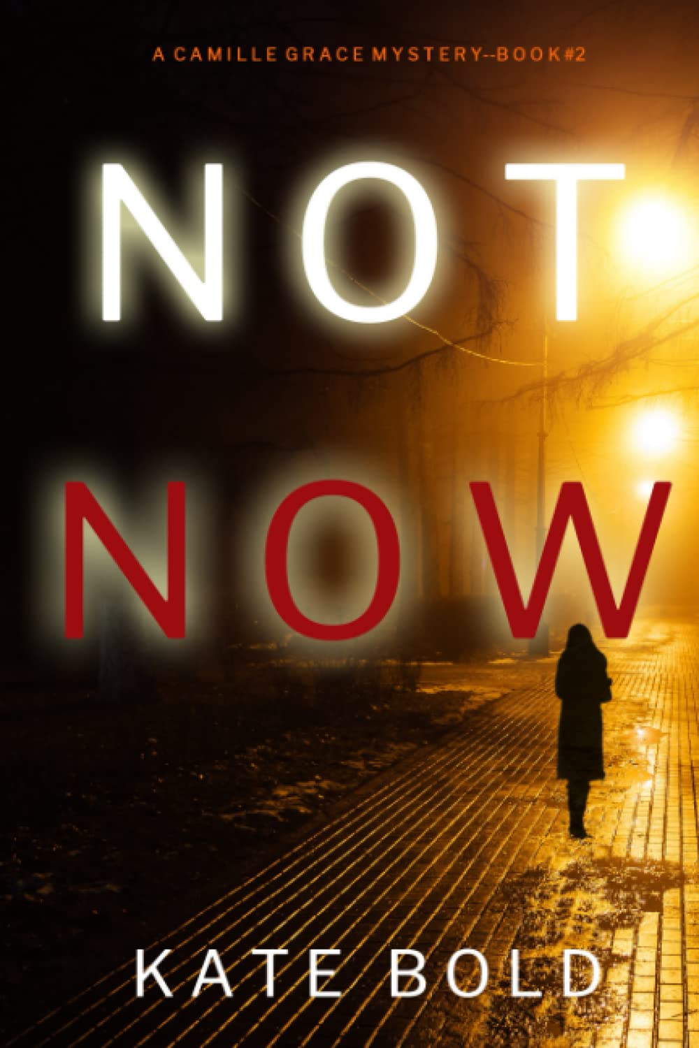 Not Now (A Camille Grace FBI Suspense Thriller—Book 2) Detective & CSI