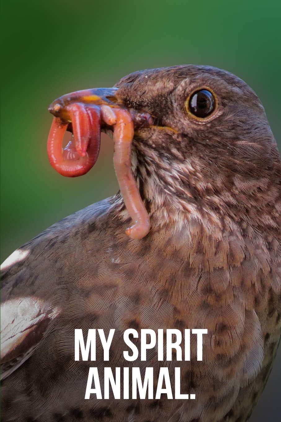 My Spirit Animal: Early Bird Journal Mathematics