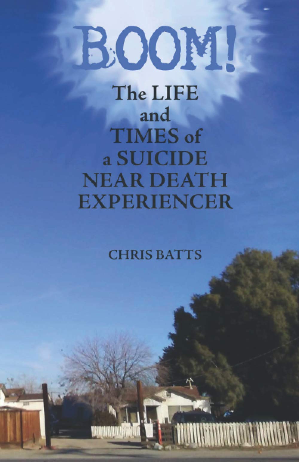 Boom!: The Life and Times of a Suicide Near Death Experiencer Psychology