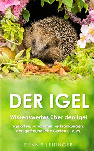 Der Igel: Wissenswertes über den Igel | Igelarten, -anatomie, -erkrankungen, der igelfreundliche Garten u. v. m. Non-fiction