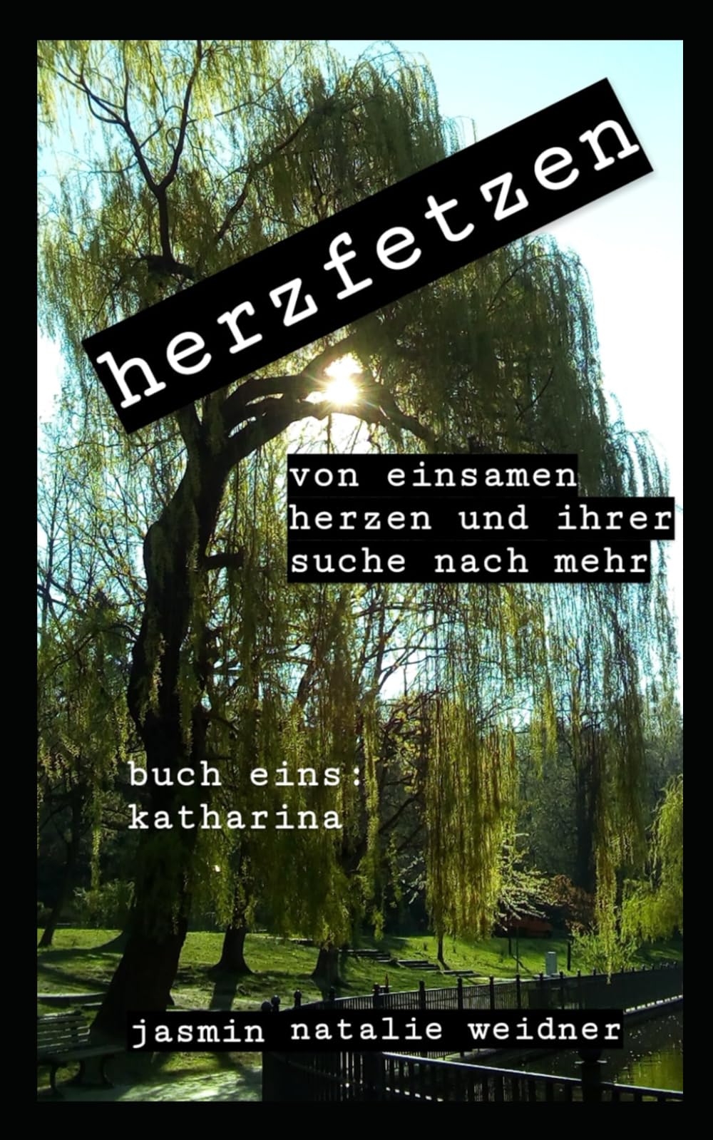 herzfetzen - einsame herzen und ihre suche nach mehr: buch eins: katharina Contemporary literature