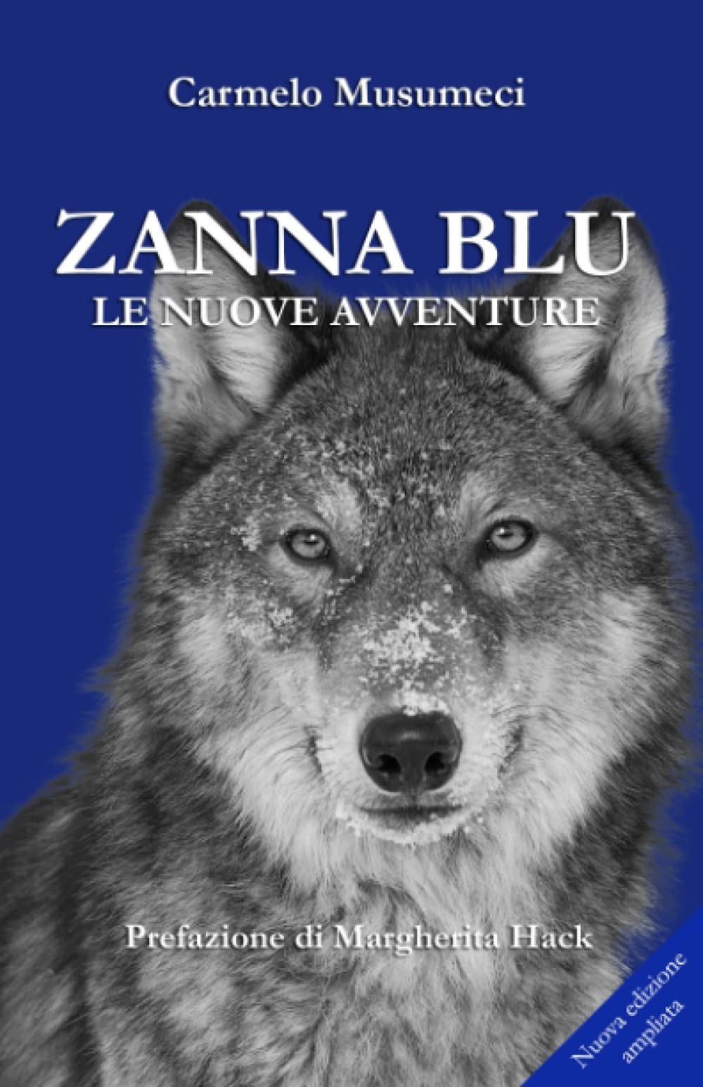 Zanna Blu: le nuove avventure Memories