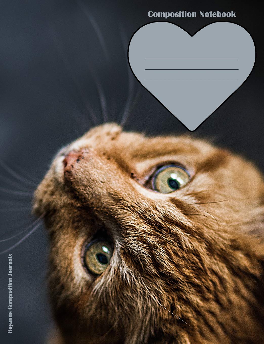 Composition Notebook: 100 French ruled pages - orange tabby cat - for class note taking in elementary, middle, high school or college book
