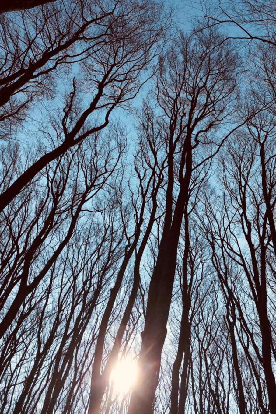 Follow me into the woods Sketch Book: Blank Lined Journal Books