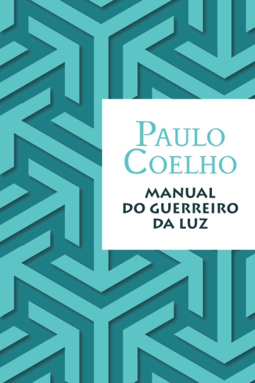 Manual do guerreiro da luz Contemporary literature