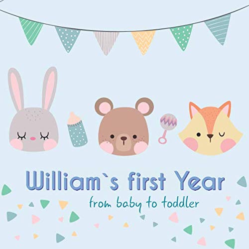William`s first year - from baby to toddler: Baby Memory Book book