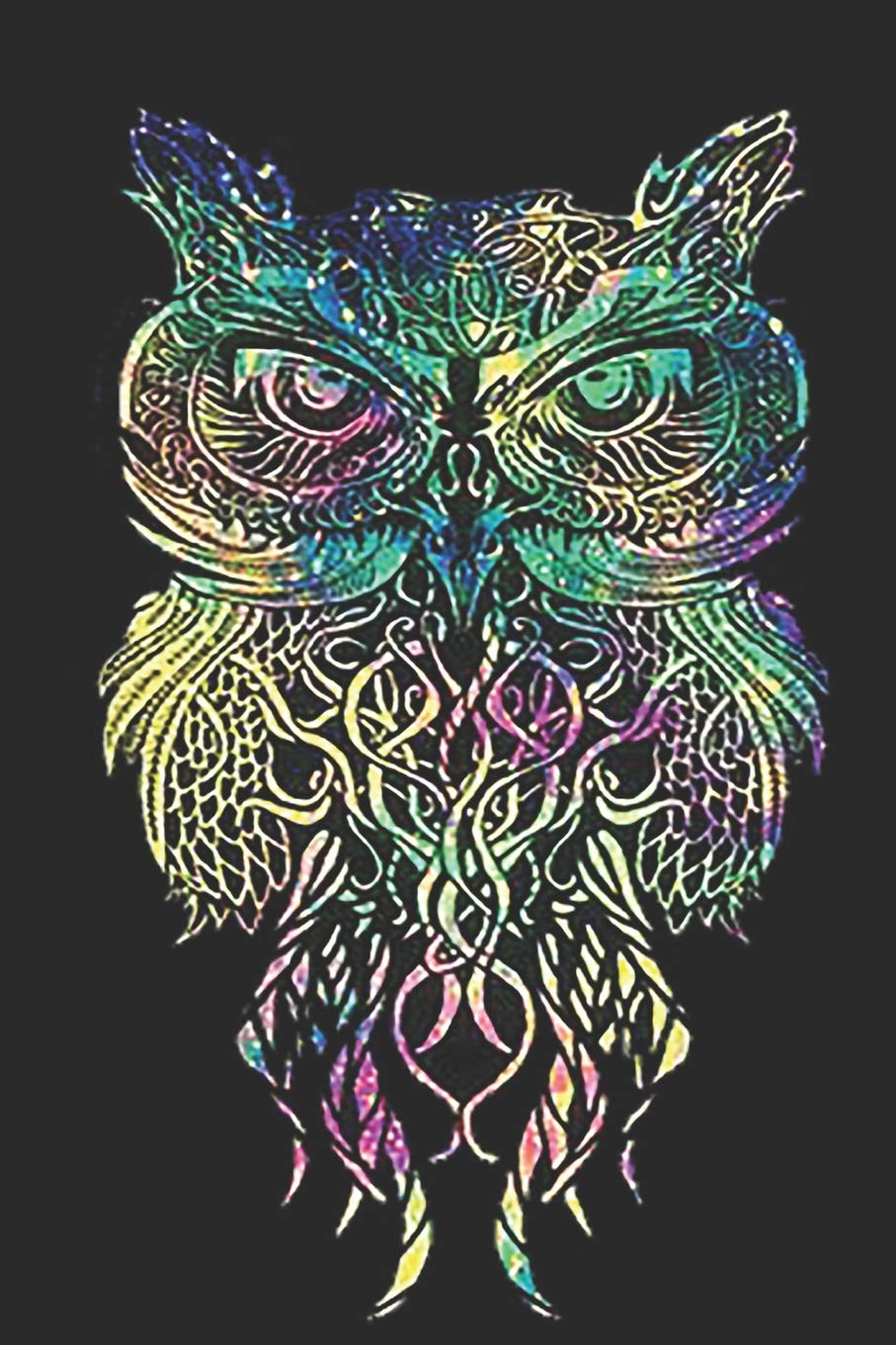 Product Image: My Owl Diary: Owl Notebook size 6x9