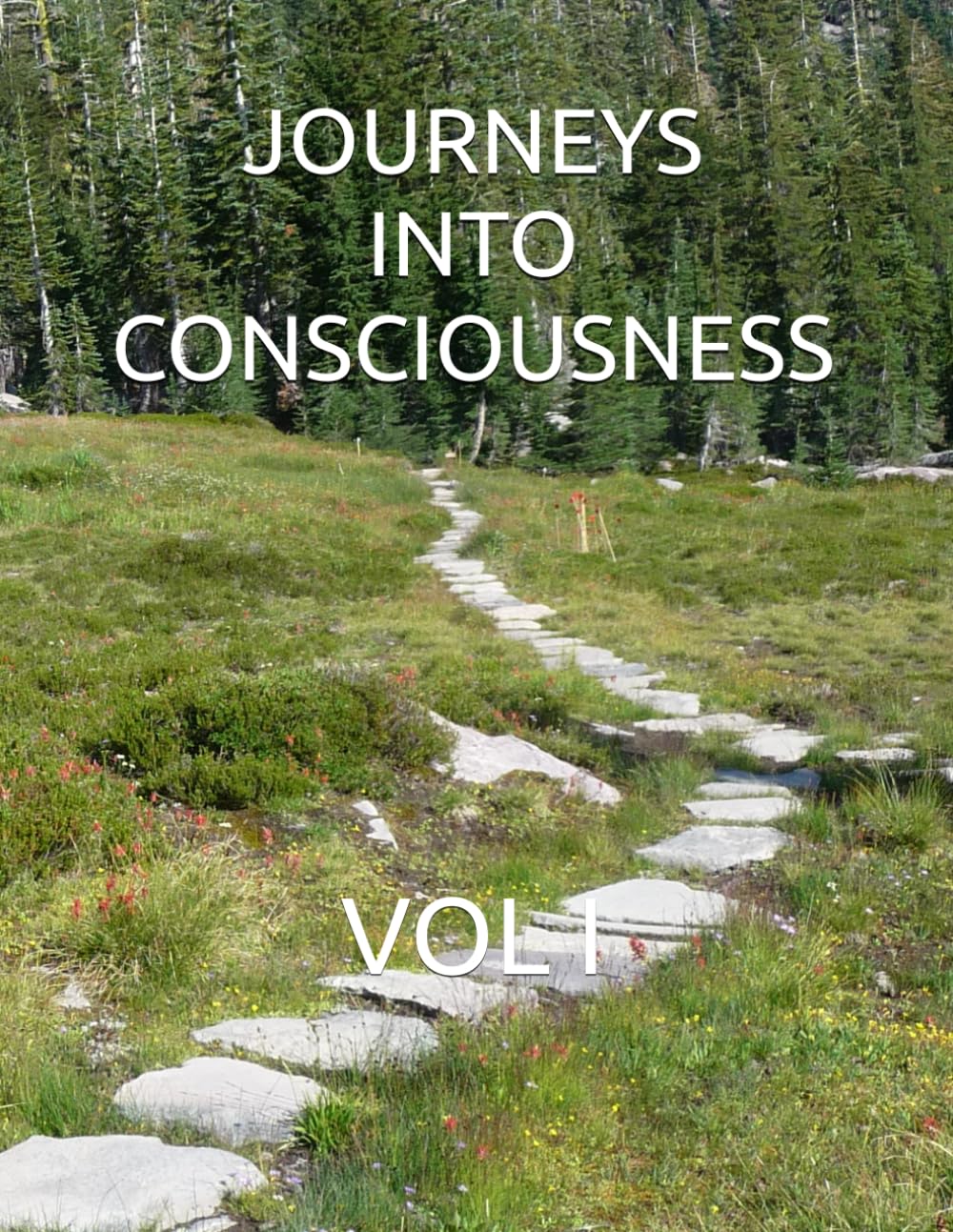 Journeys Into Consciousness: Vol I (Journeys Into Consciousness Volumes I - VII, Band 1) Lifestyle