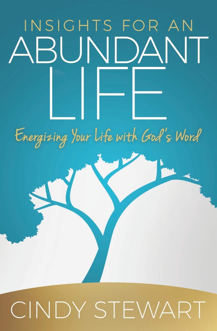 Insights for an Abundant Life: Energizing Your Life with God's Word Religion & Esotericism