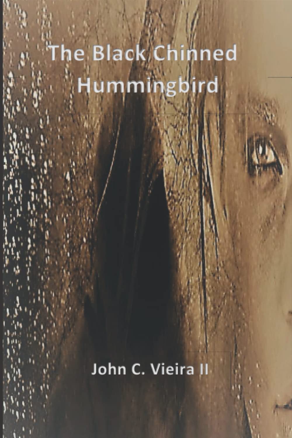 The Black Chinned Hummingbird Crime & Thrillers
