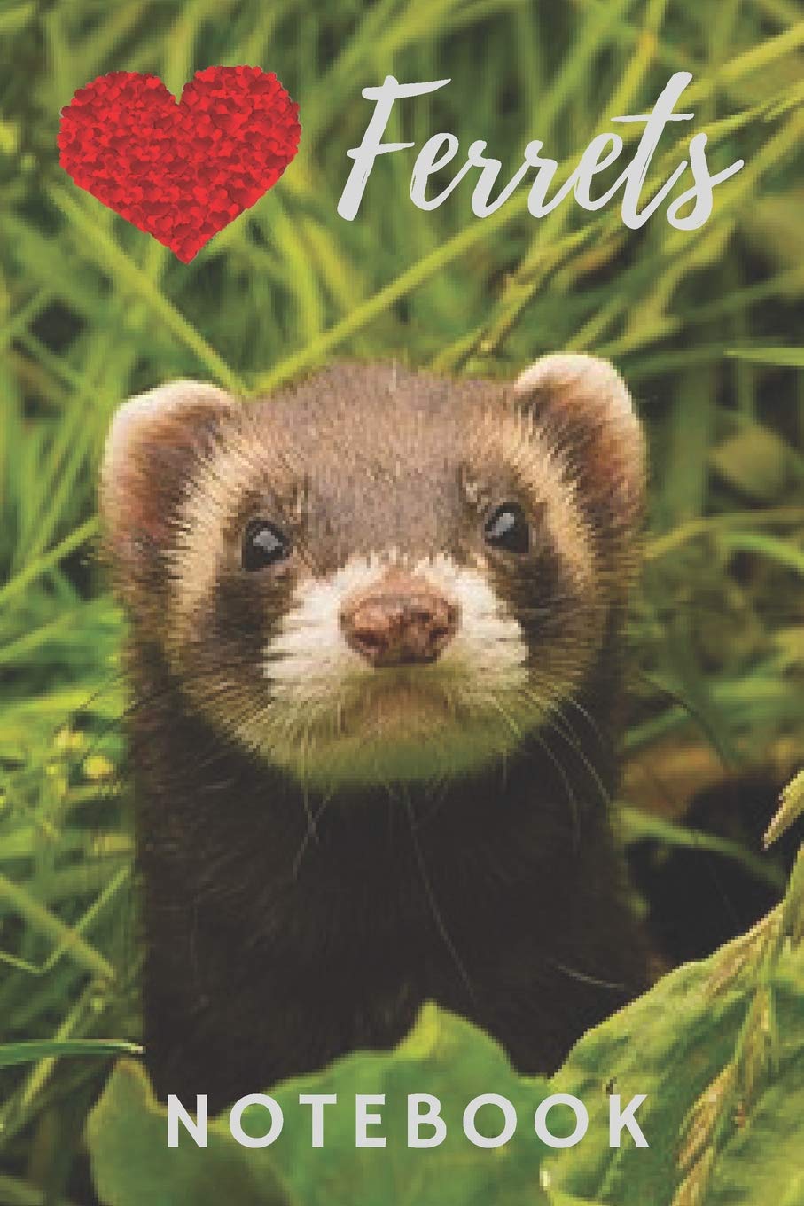 Ferret Notebook: cute ferrets gift for children who love animals (blank lined notebook) pet notepad for girls / best for writing stories, notes and ... / journal for journaling / ferret journal Mathematics