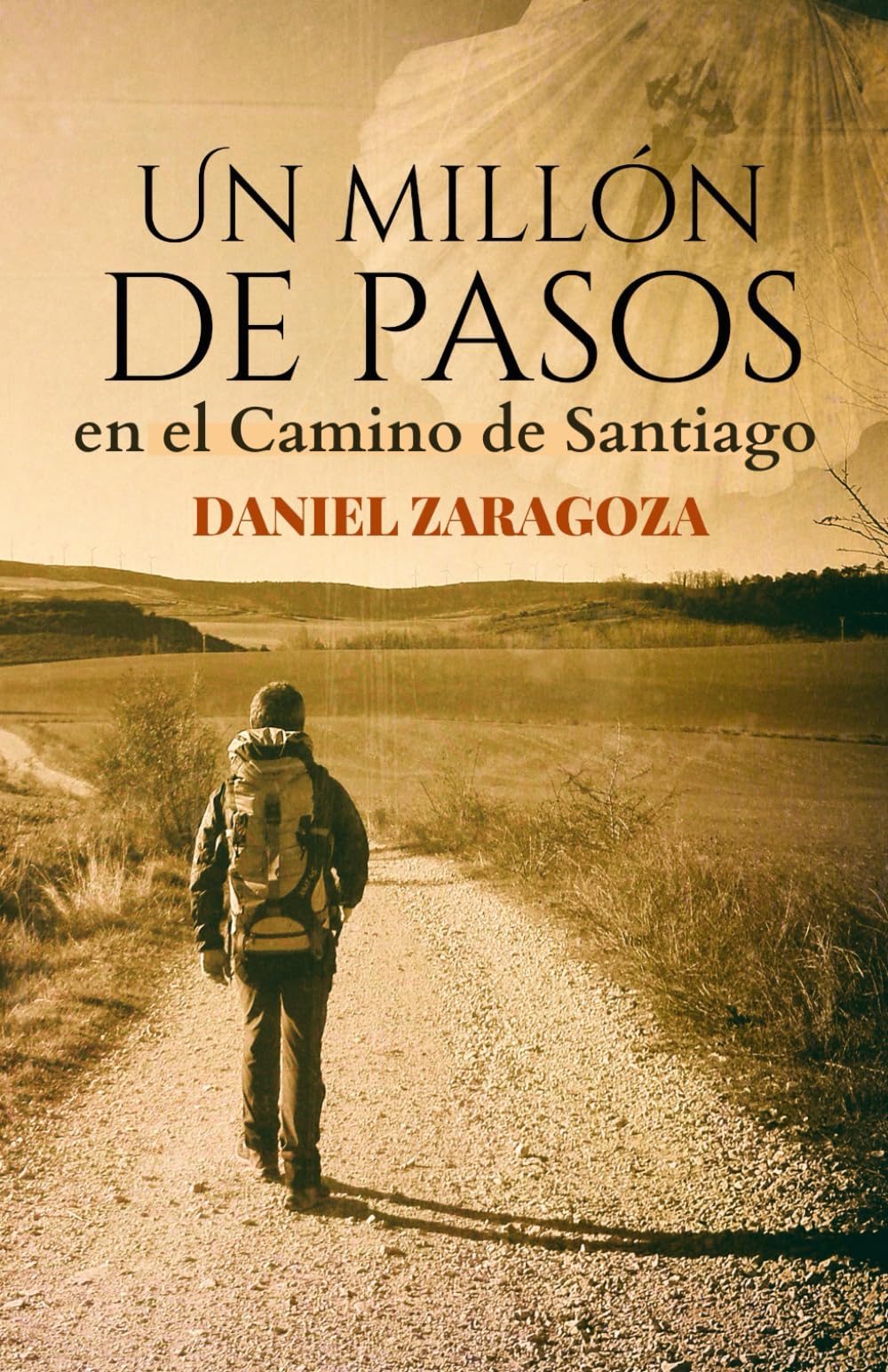 Un millón de pasos: Novela ambientada en el Camino de Santiago Leisure, Home & Garden
