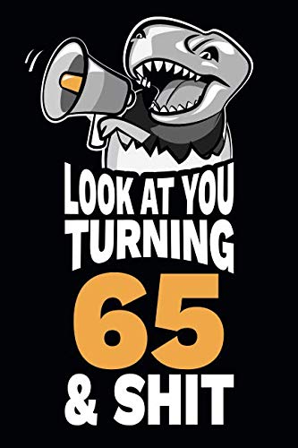 Look At You Turning 65 and Shit: Funny 65th Birthday Gag Gift, Turning 65 Years Old Joke Notebook Journal Diary. 6 x 9 inch, 120 Pages. Books