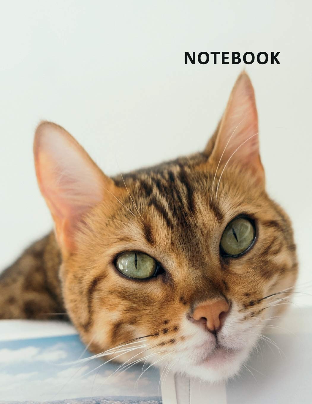 College Ruled Notebook: Lazy cat breeds Excellent Composition Book Daily Journal Notepad Diary for notes on caring for kittens week by week Education & Training