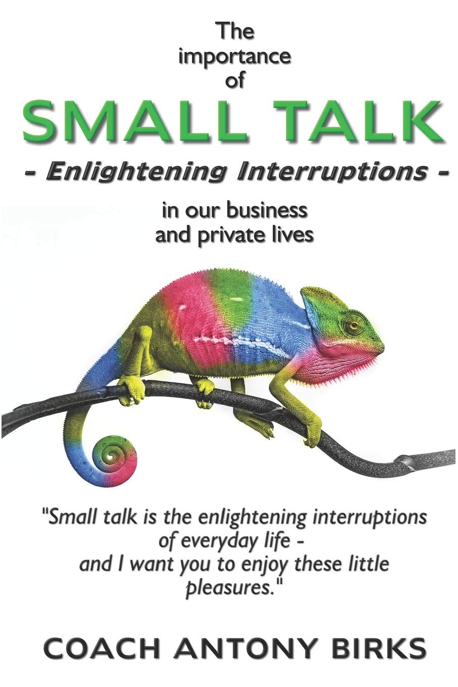 SMALL TALK: Enlightening Interruptions (Learning English, Band 2) Business, Finance & Career