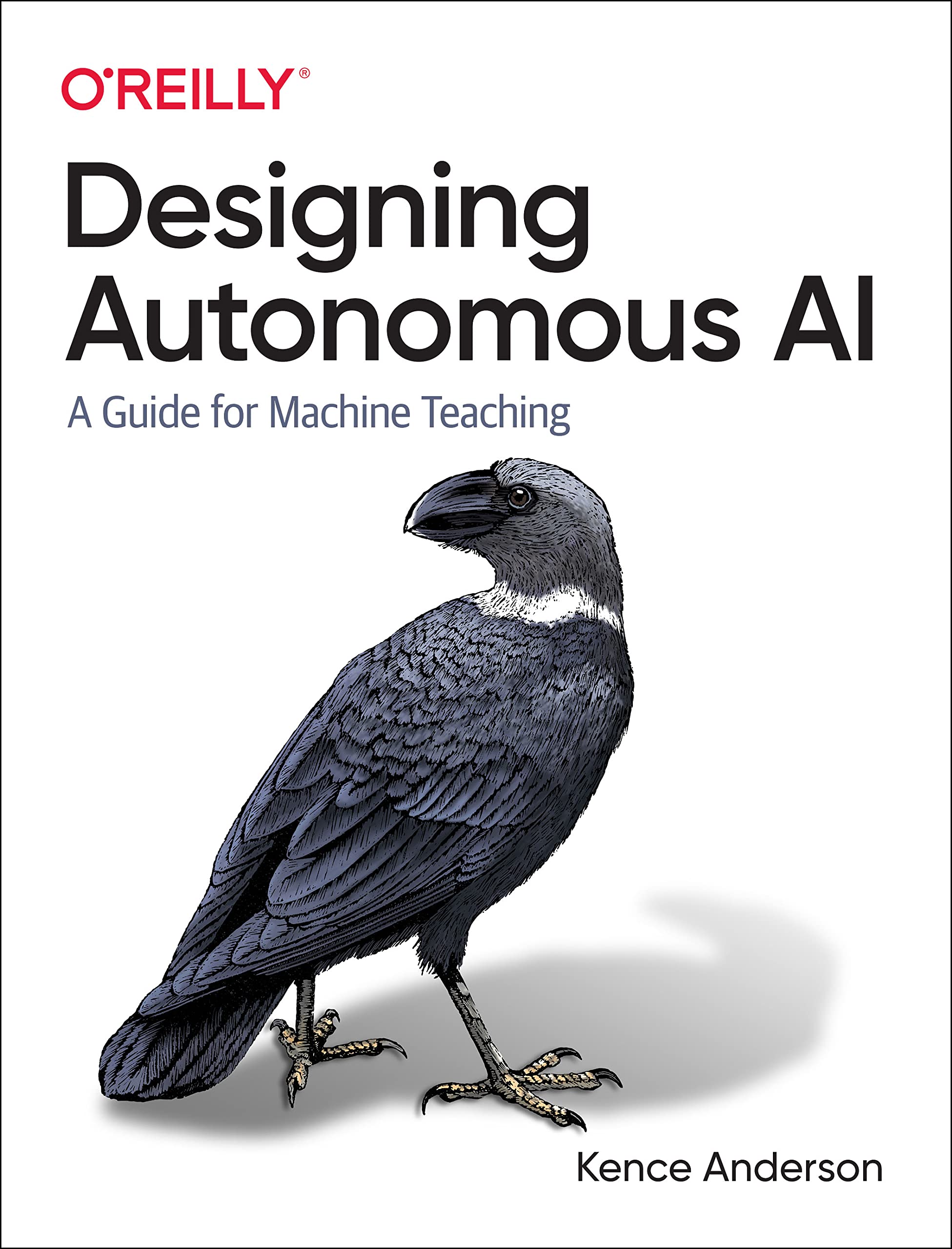 Product Image: Designing Autonomous AI