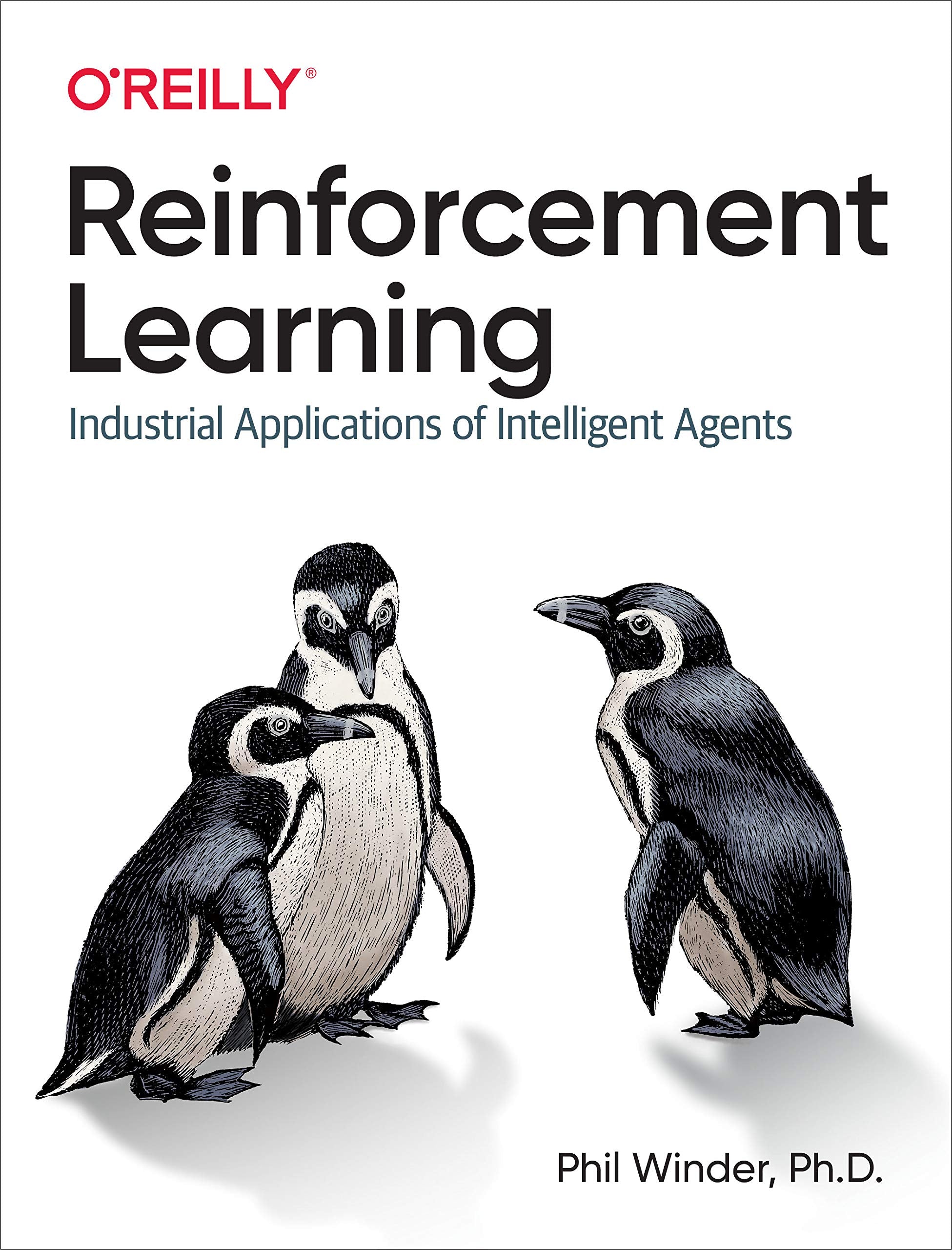 Reinforcement Learning: Industrial Applications of Intelligent Agents Computer Science