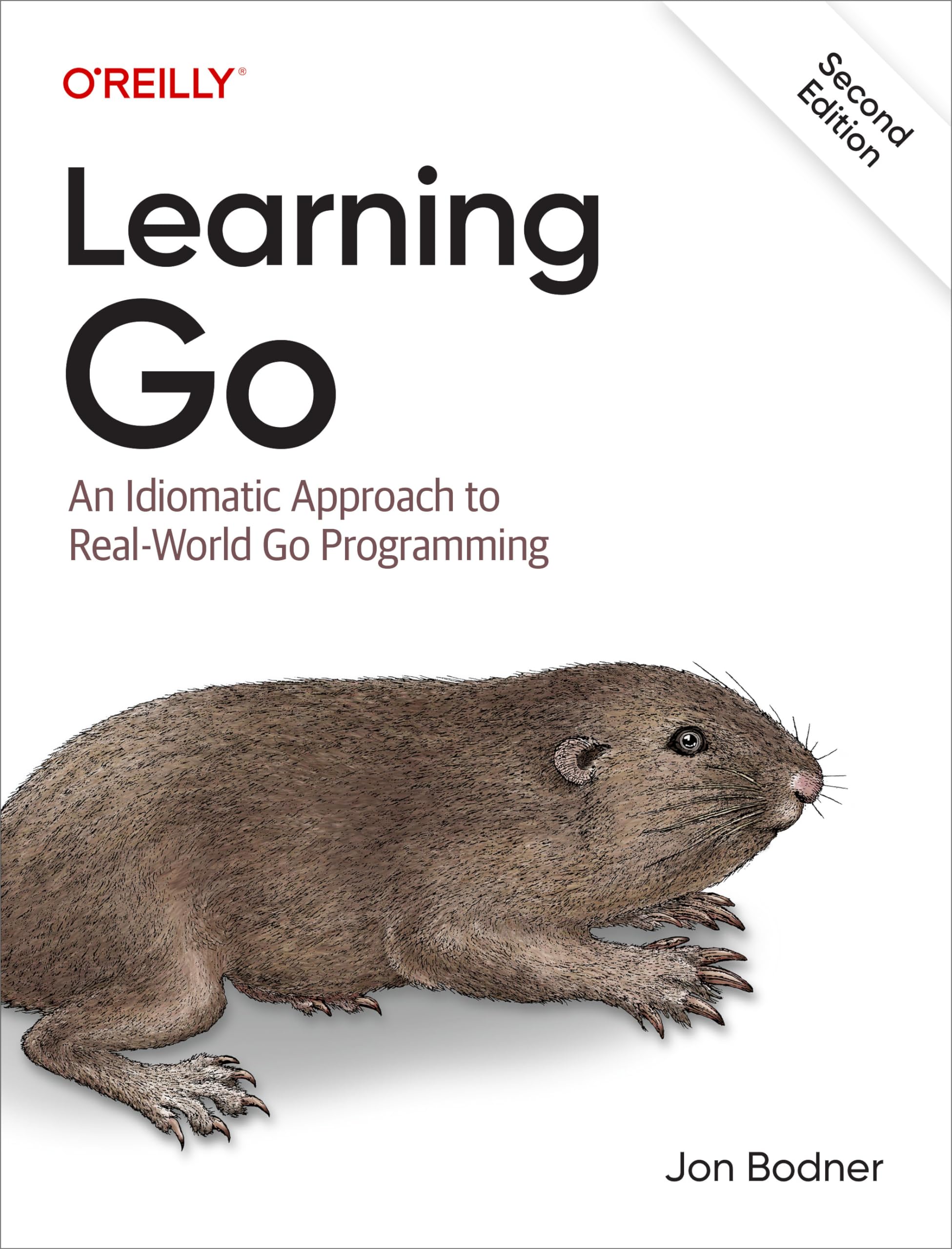 Learning Go: An Idiomatic Approach to Real-World Go Programming Computer Science