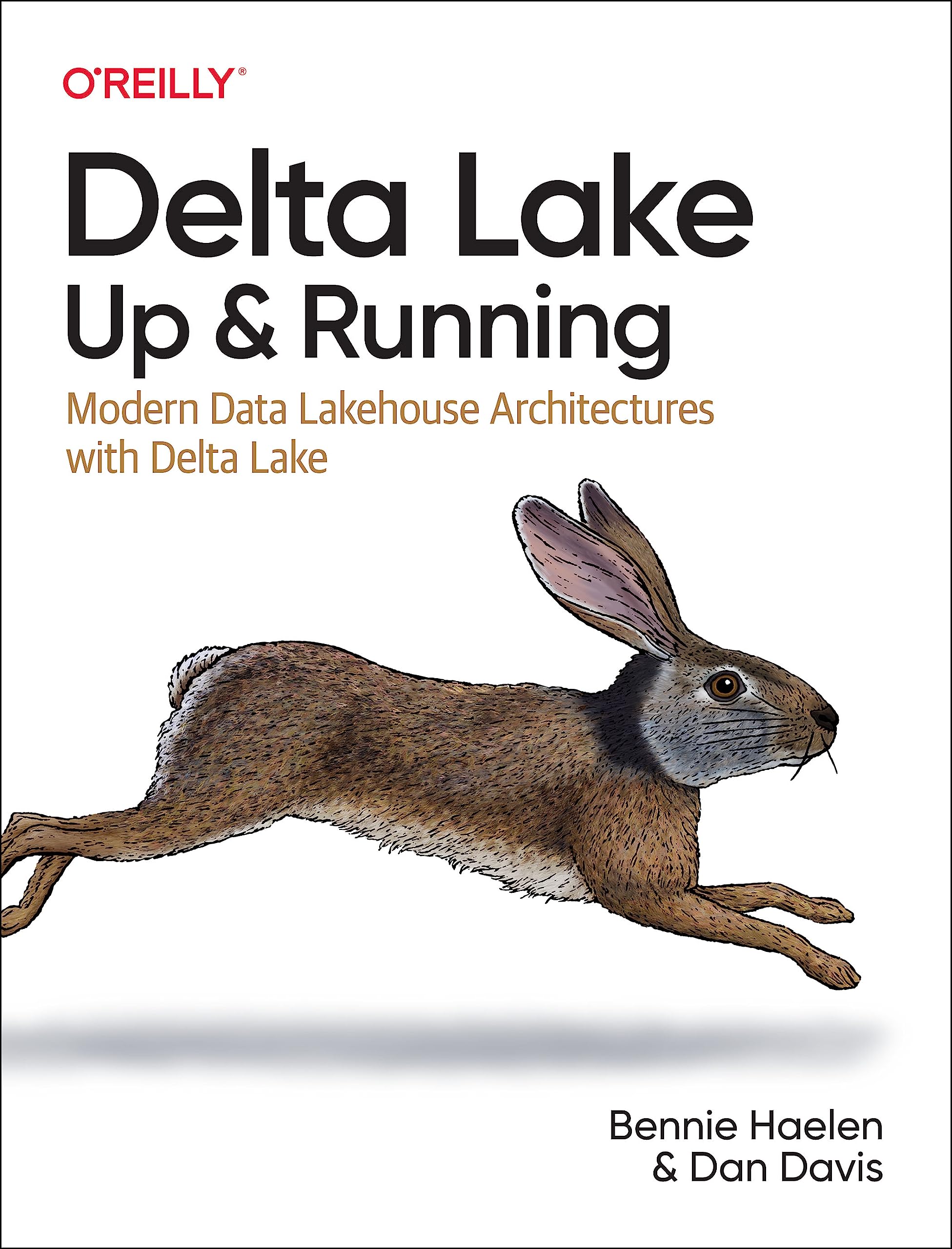Delta Lake: Up and Running: Modern Data Lakehouse Architectures with Delta Lake Computer Science