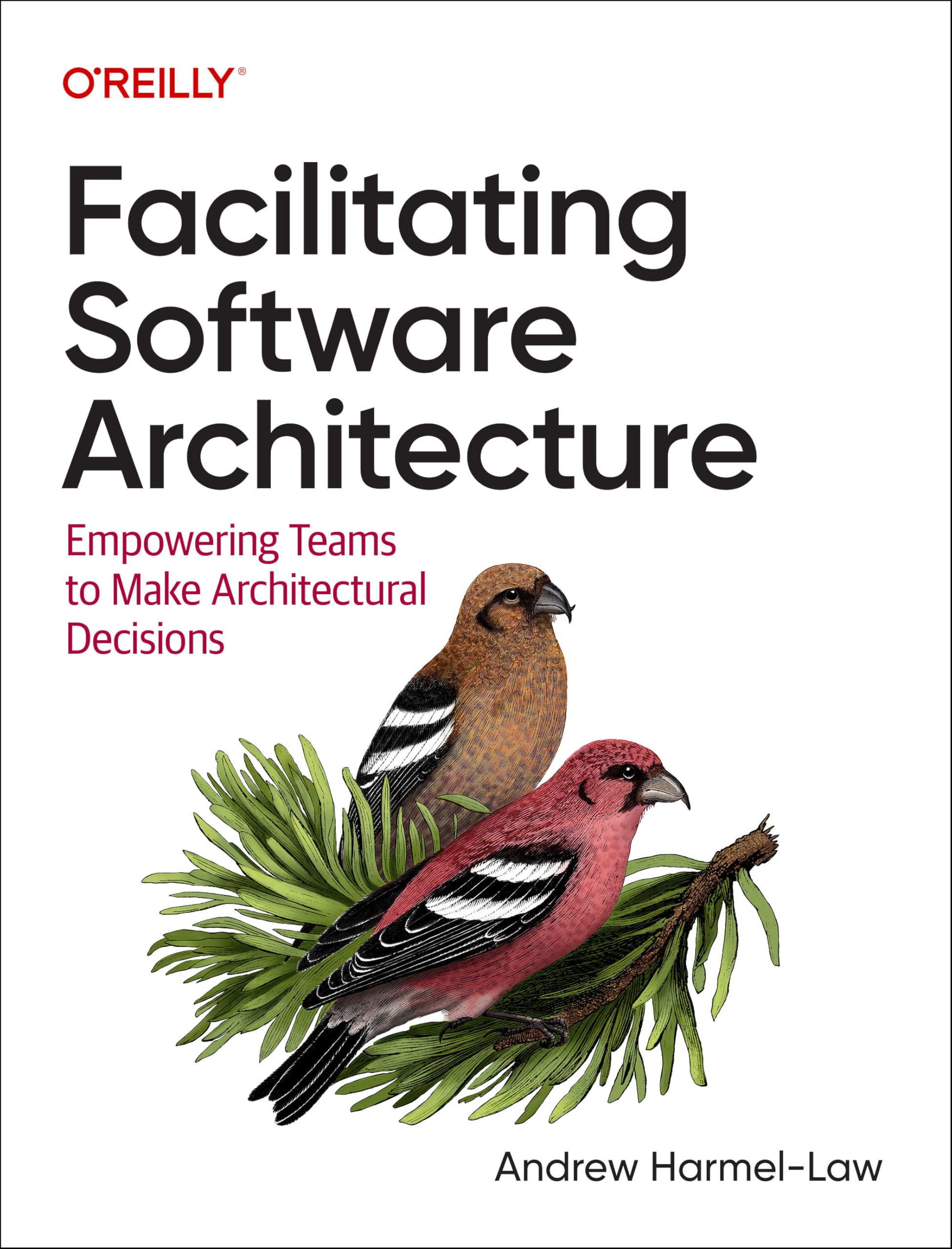 Facilitating Software Architecture Business, Finance & Career