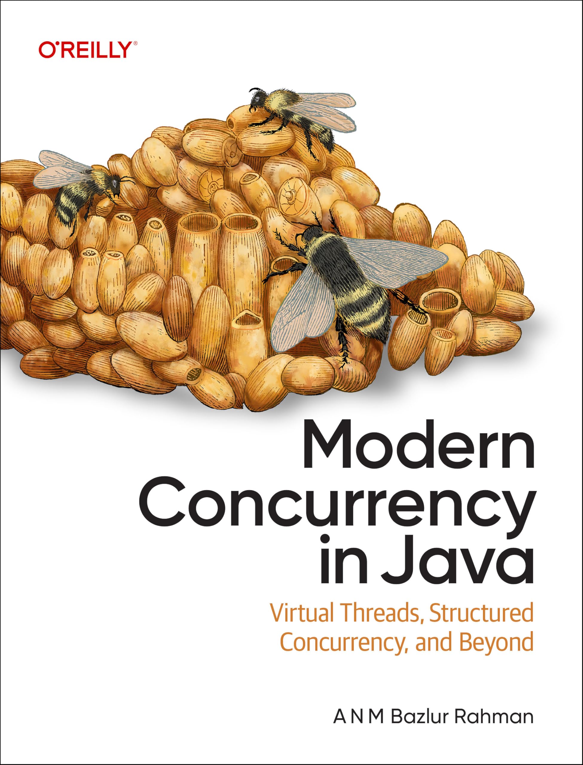 Modern Concurrency in Java Computer Science