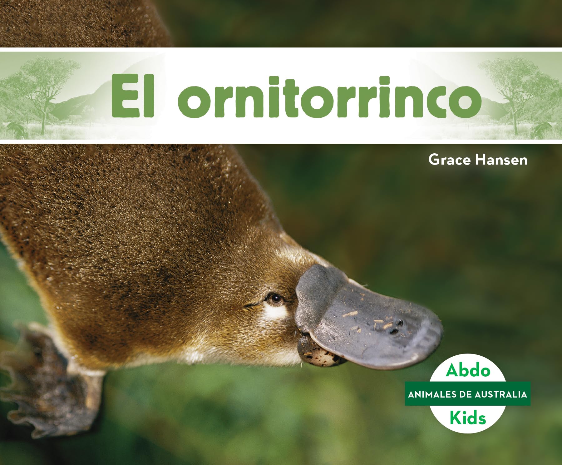 El Ornitorrinco (Platypus ) (Animales de Australia / Australian Animals) Non-fiction