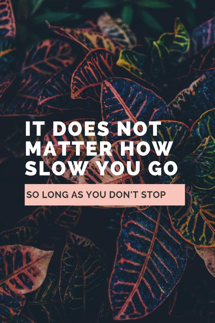 It Does Not Matter How Slow You Go So Long As You Don't Stop: Notebook / Simple Lined Writing Journal / Fitness / Training Log / Study / Thoughts / Motivation / Work / Gift / 120 Page / 6" x 9" Reference Books
