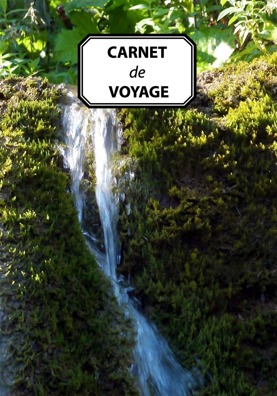 CARNET DE VOYAGE: Journal personnel, prise de notes, original & pratique de 110 pages lignées Mathematics