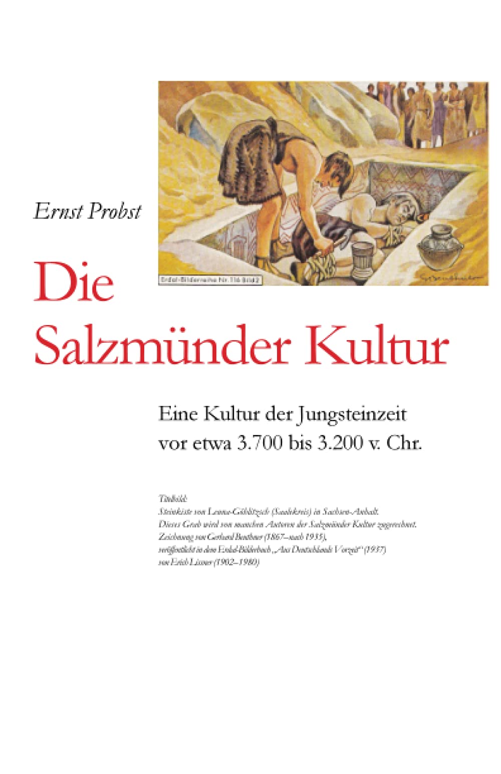 Die Salzmünder Kultur: Eine Kultur der Jungsteinzeit vor etwa 3.700 bis 3.200 v. Chr. (Bücher von Ernst Probst über die Steinzeit) Business & Technology