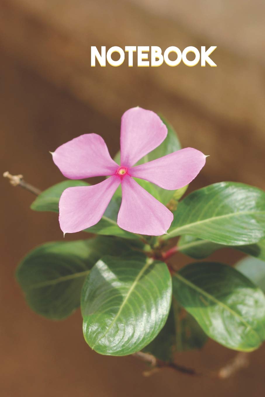 Notebook: Nature Themed - Small Lined Notebook - Flower Image (6 X 9 -120 Pages) for Gifting or for Your own use Learning & Reference