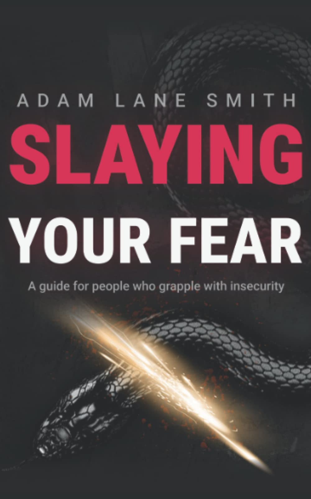 Slaying Your Fear: A guide for people who grapple with insecurity Health, Nutrition & Fitness