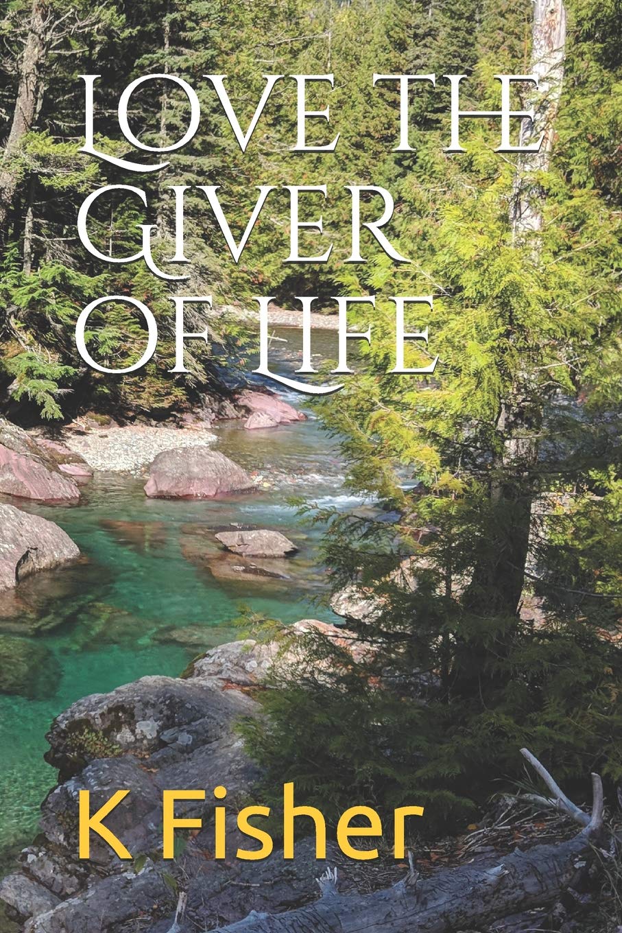 Love the Giver of Life (Montana Love, Band 2) Contemporary Romance
