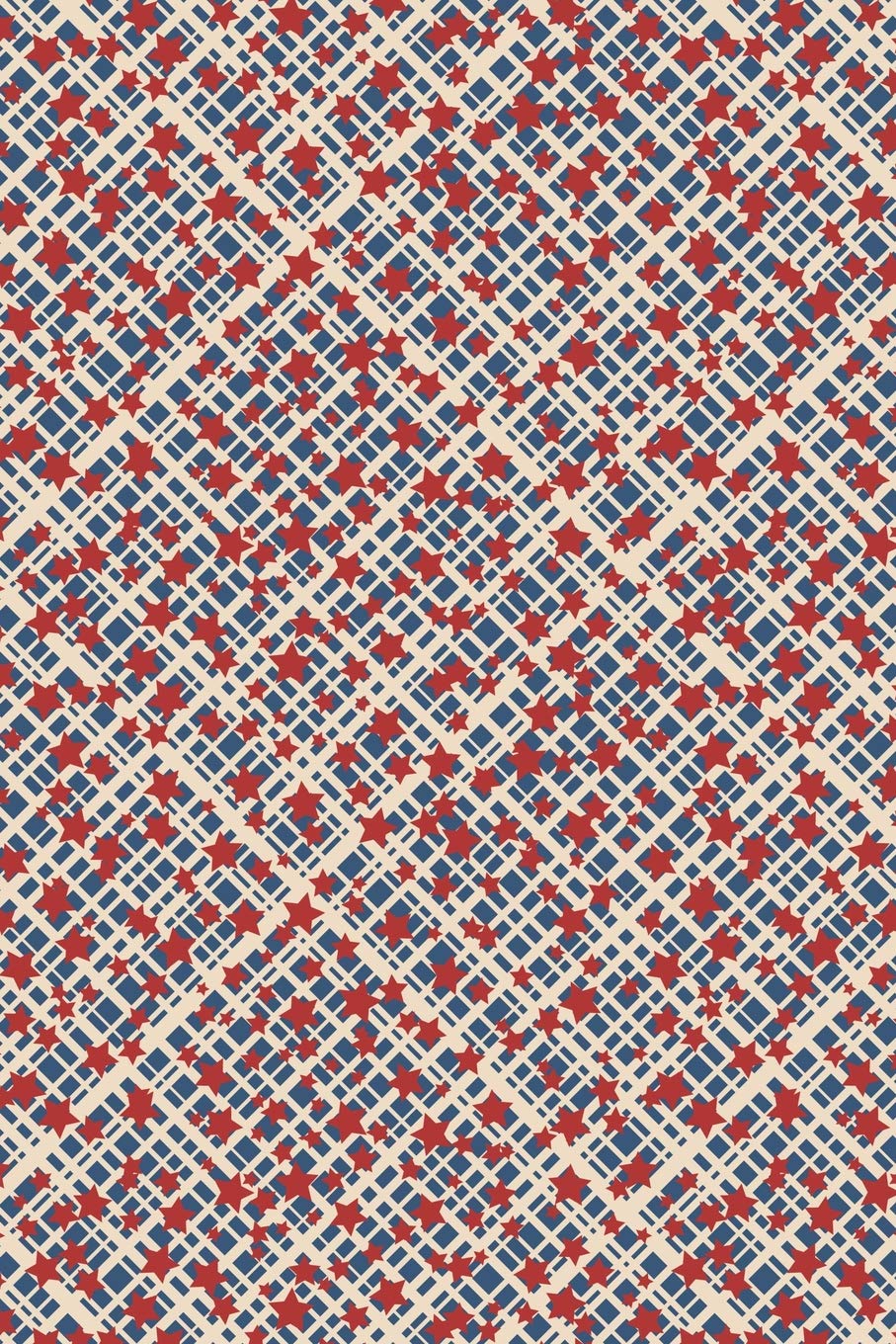Patriotic Pattern - United States Of America 104: Graph Paper 5x5 Notebook for Patriots and Locals Books