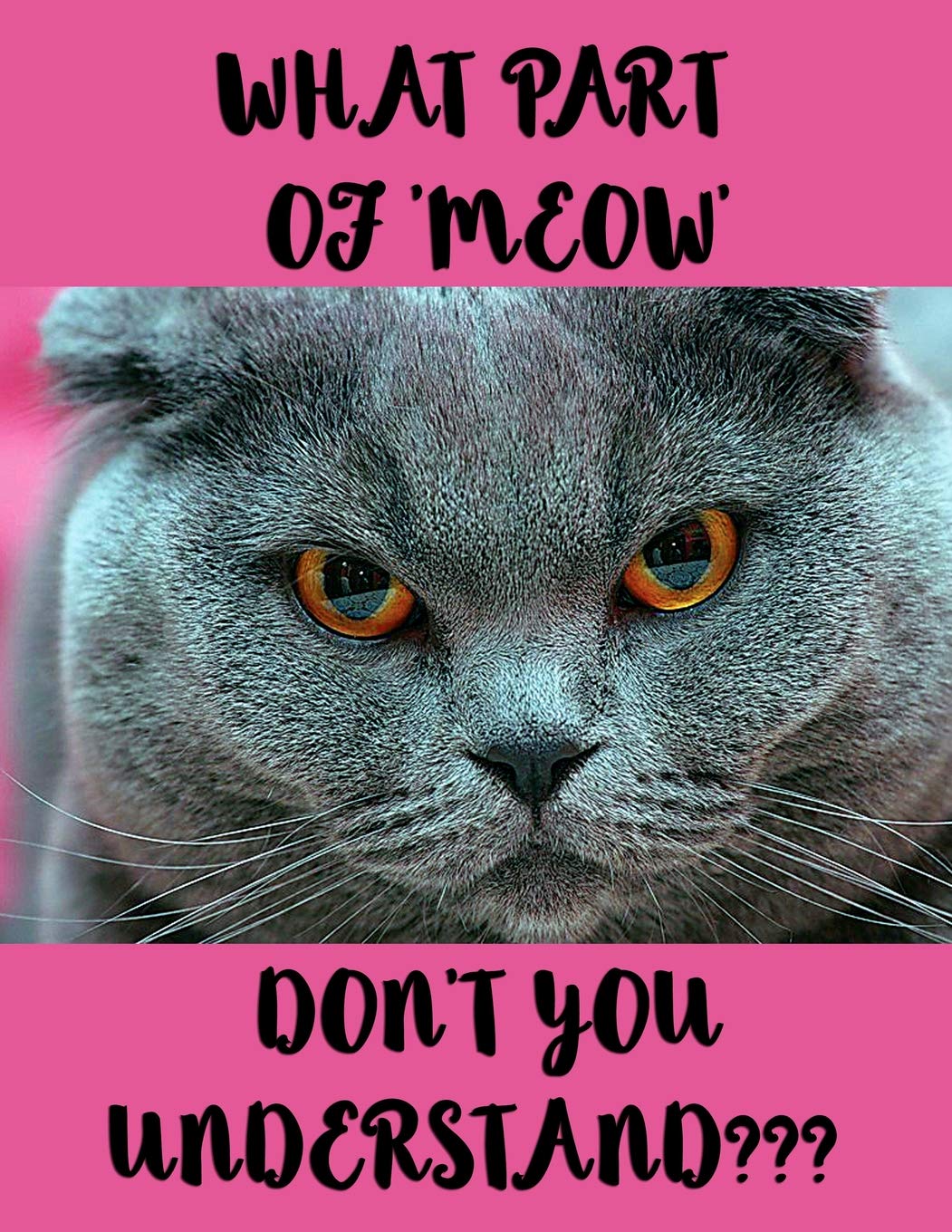 What part of ‘meow’ don’t you understand?: 8.5x11 inches 130 lined pages notebook, notepad, composition book, manuscript book, journal Tiptoi & Games