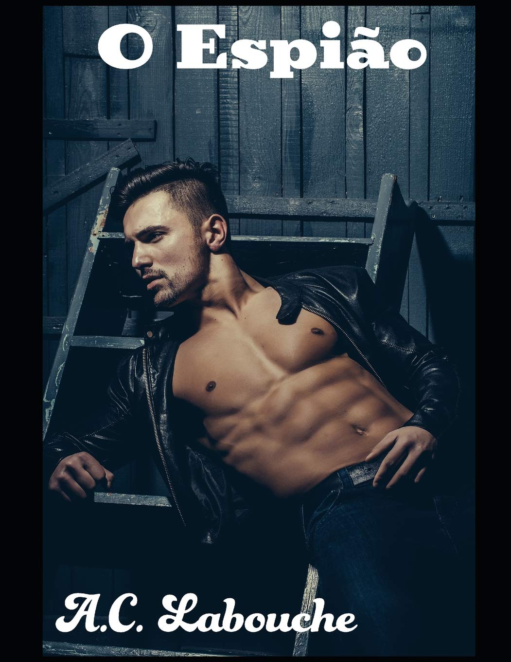 O Espião: Refém do desejo: HHM Bissexual (Os Amantes Proibidos, Band 3) Eroticism