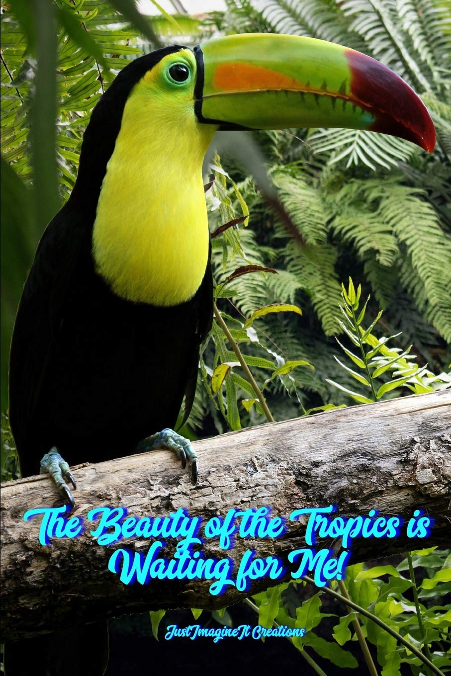 The Beauty of the Tropics is Waiting for Me! Travel