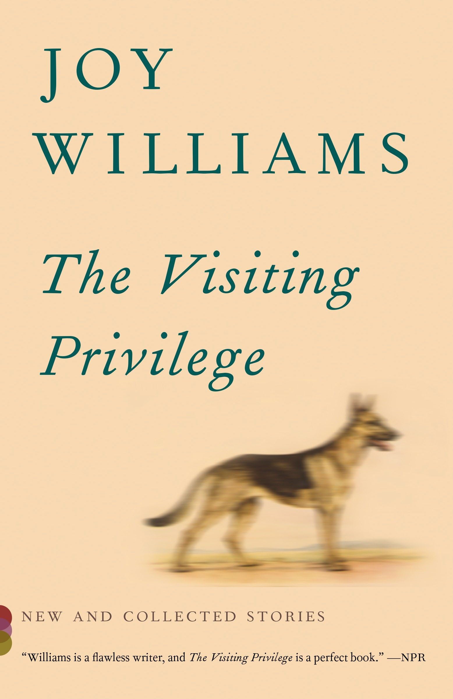 The Visiting Privilege: New and Collected Stories (Vintage Contemporaries) Essays & Short Stories
