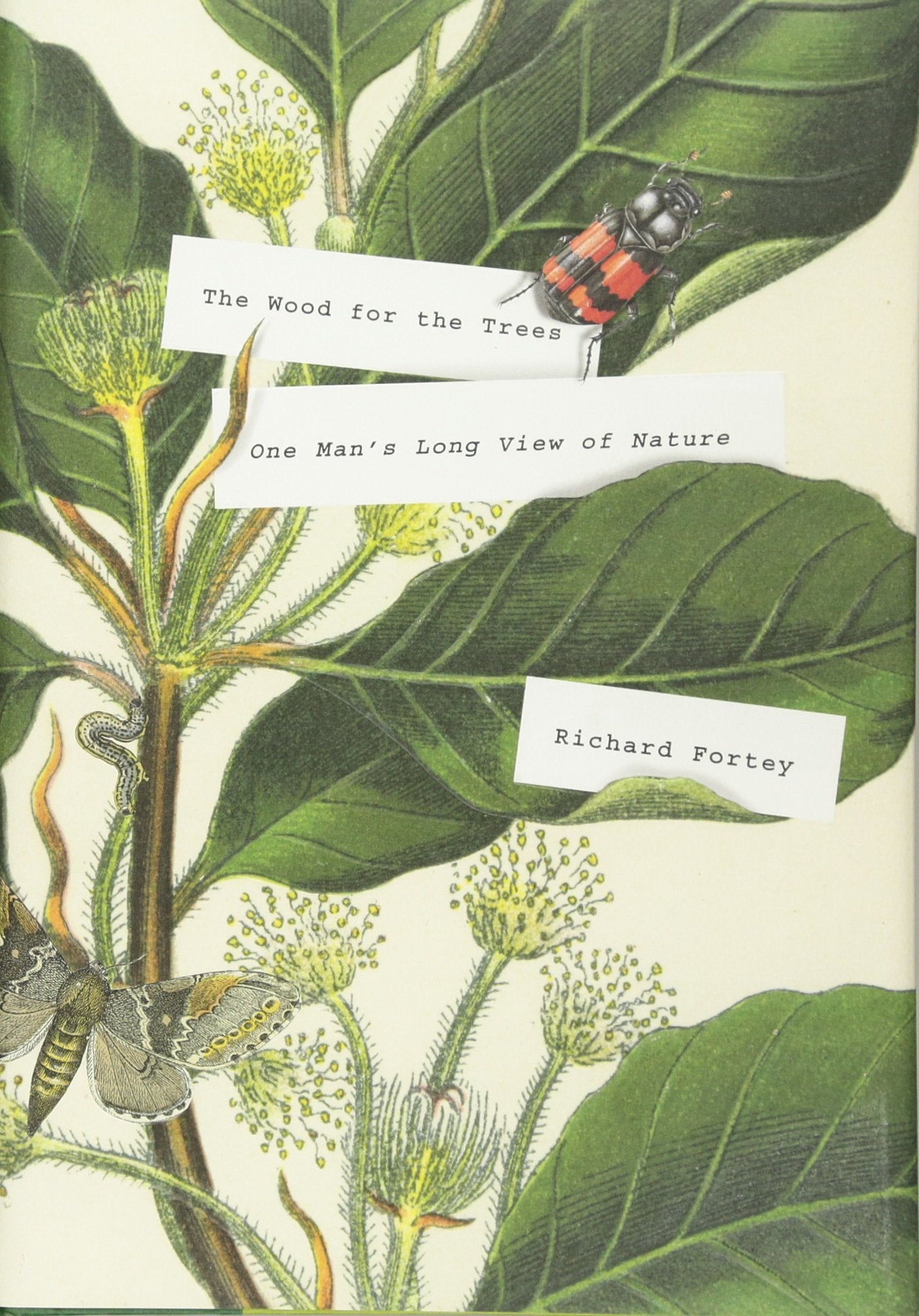 The Wood for the Trees: One Man's Long View of Nature Business & Technology