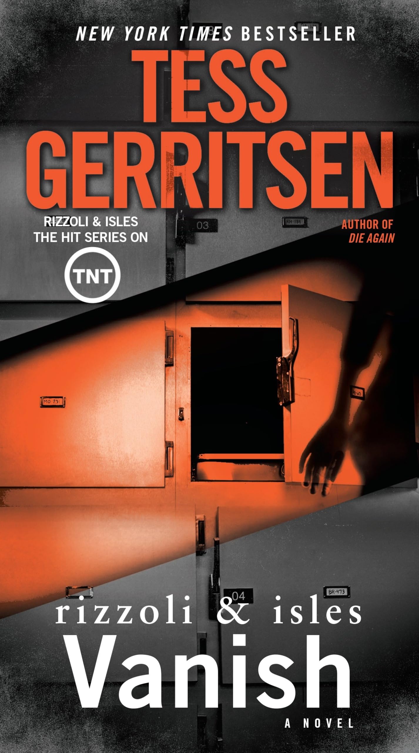 Vanish: A Rizzoli & Isles Novel Contemporary literature