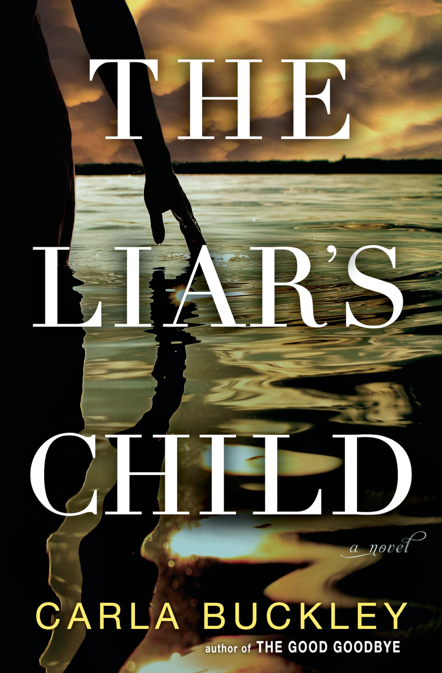 The Liar's Child: A Novel Contemporary literature