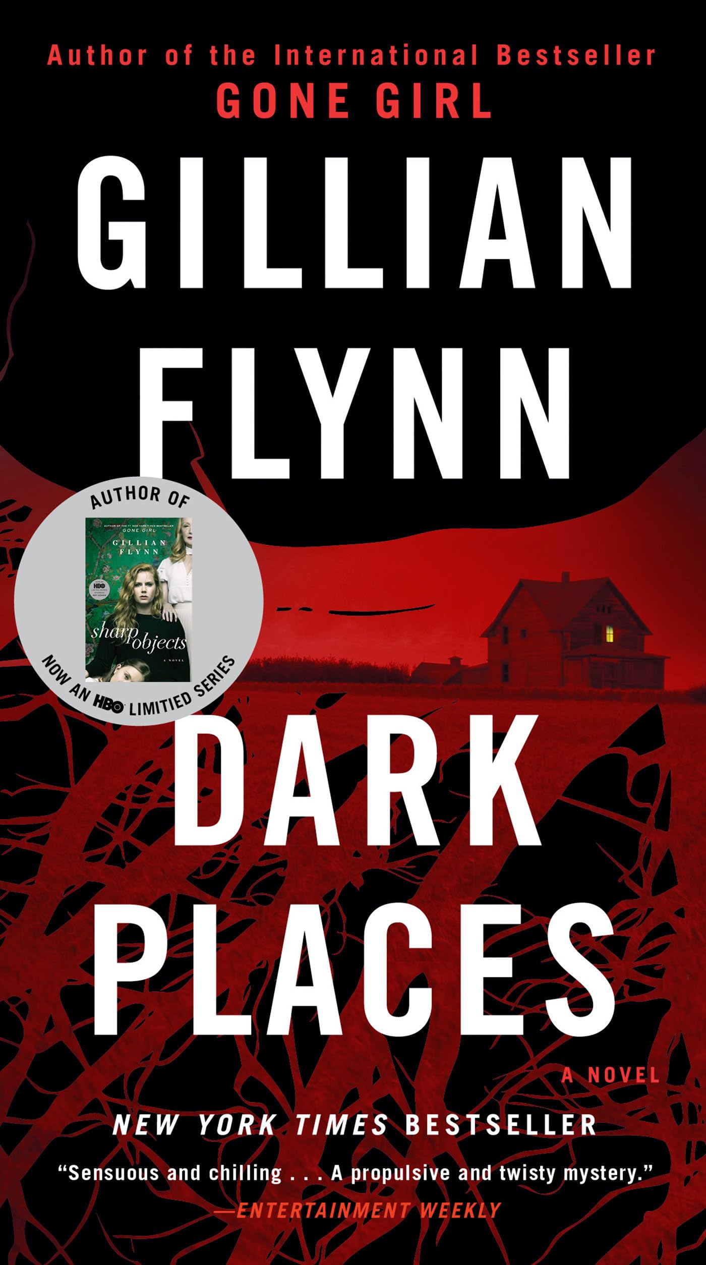 Dark Places Contemporary literature Books