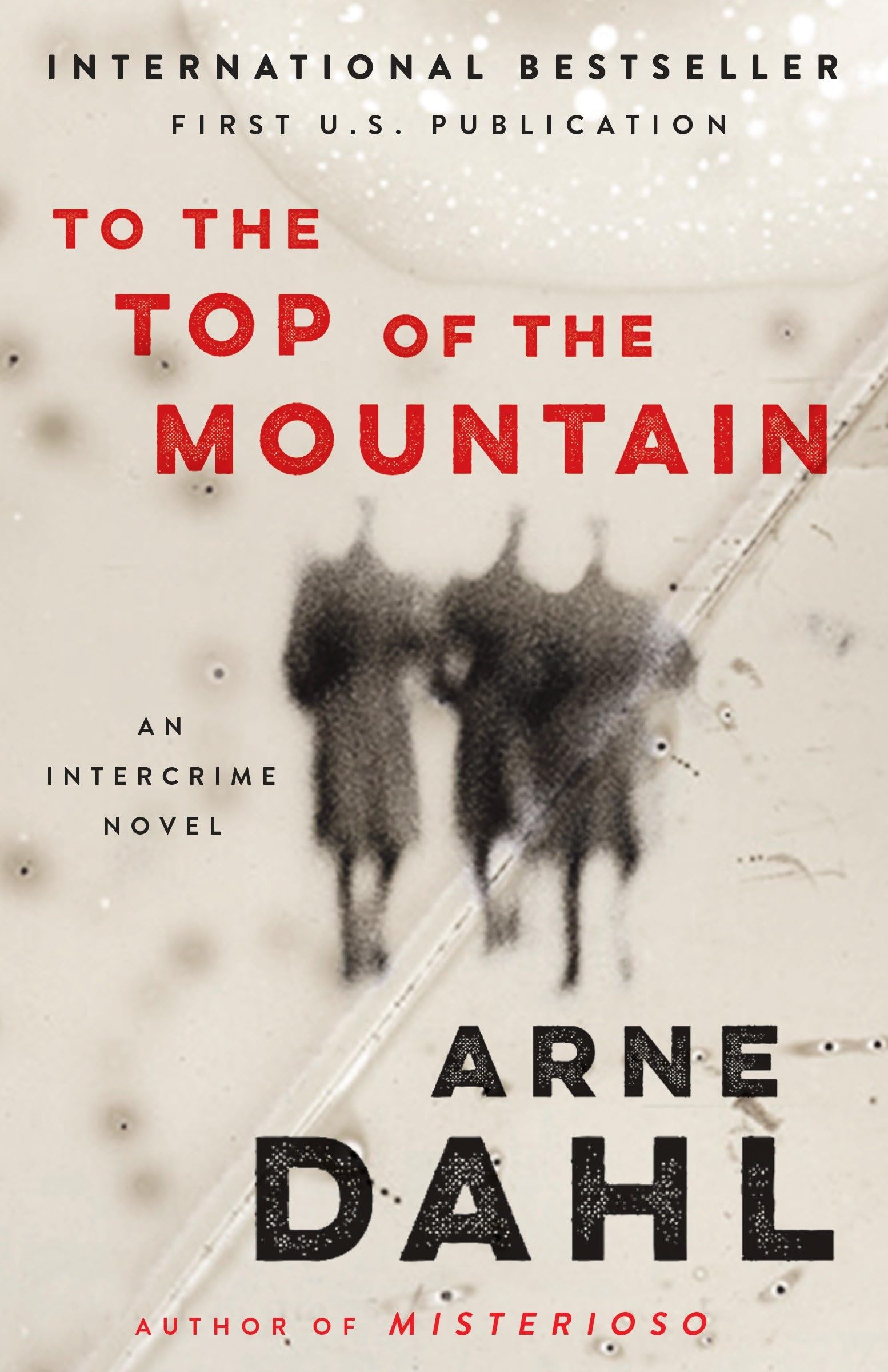 To the Top of the Mountain: An Intercrime Novel (Vintage Crime/Black Lizard) Action & Adventure