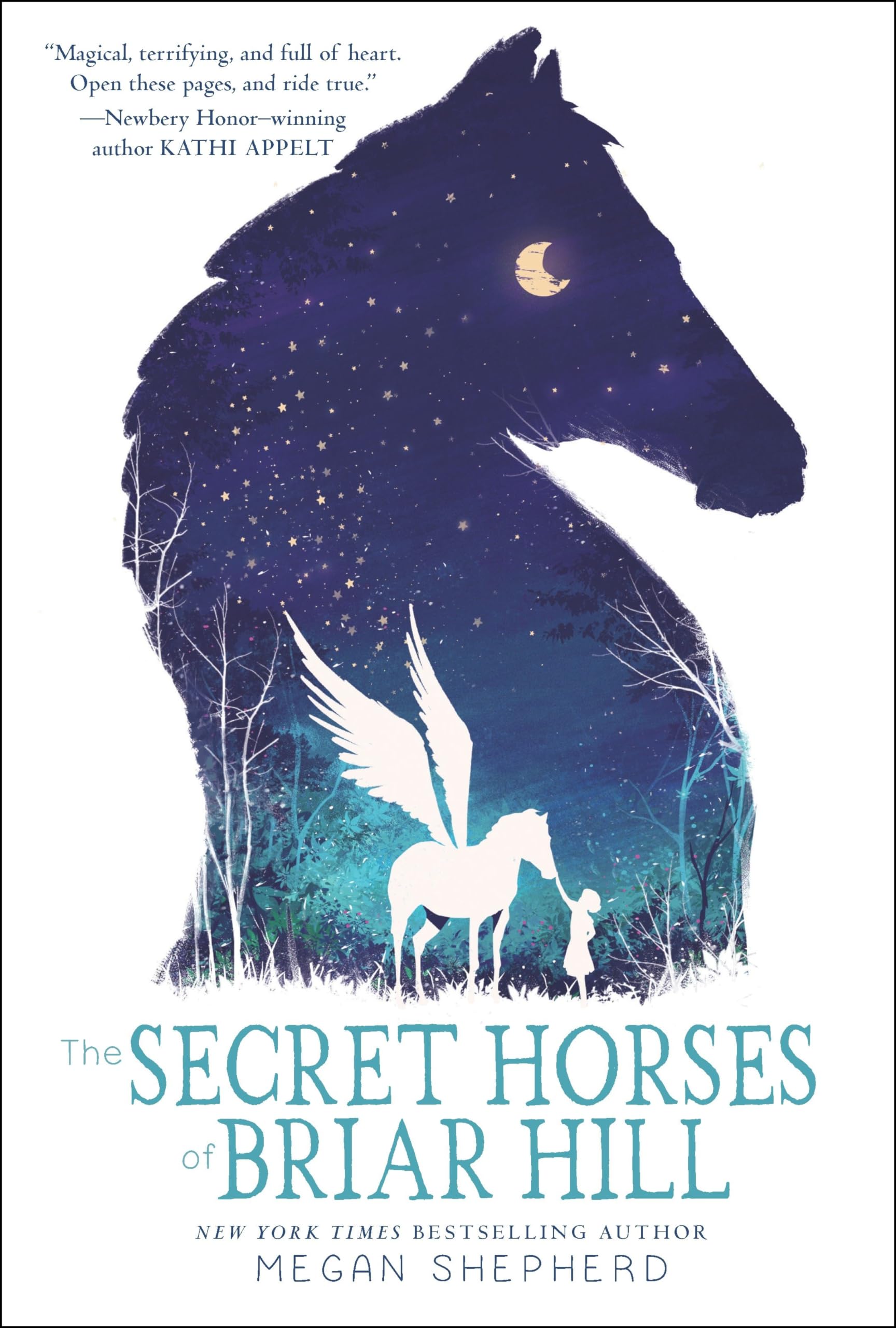 The Secret Horses of Briar Hill German history