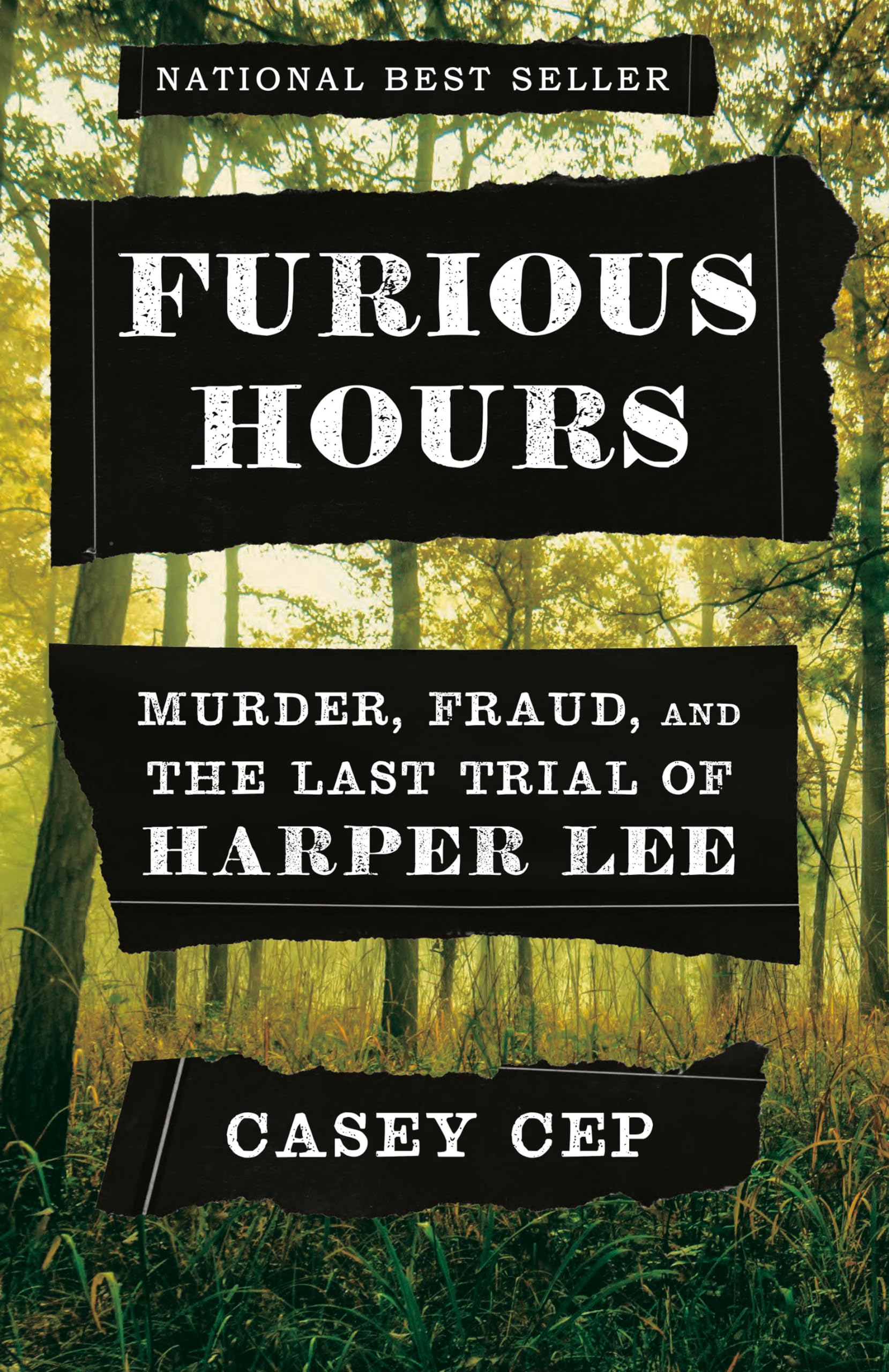 Furious Hours: Murder, Fraud, and the Last Trial of Harper Lee Art & Literature