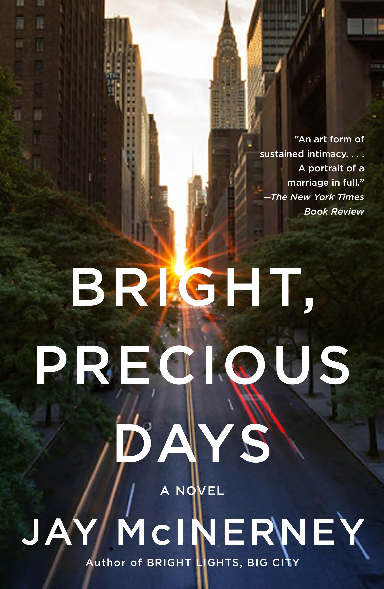Bright, Precious Days: A Novel (Vintage Contemporaries) Contemporary literature