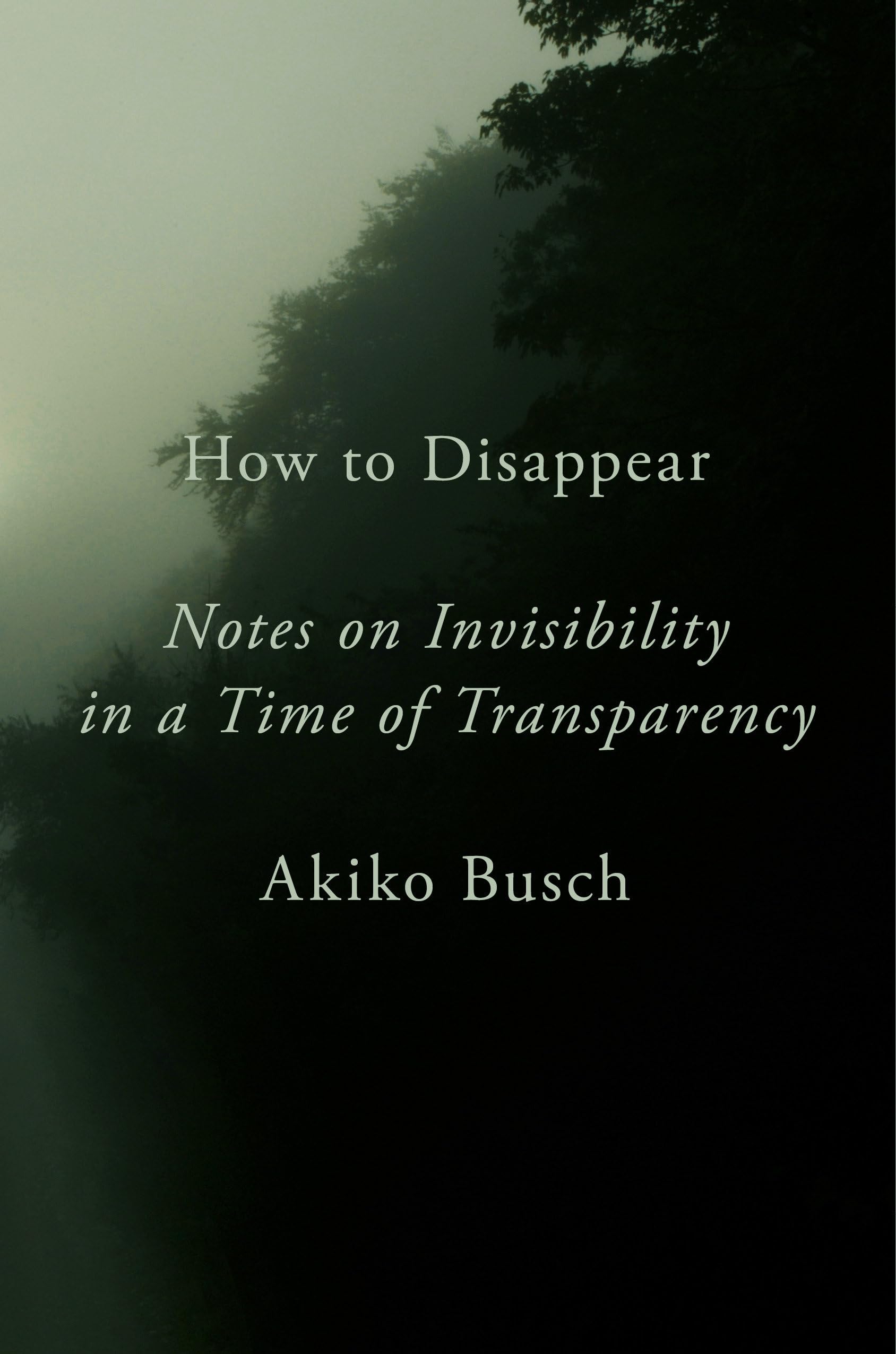 How to Disappear: Notes on Invisibility in a Time of Transparency Art & Literature